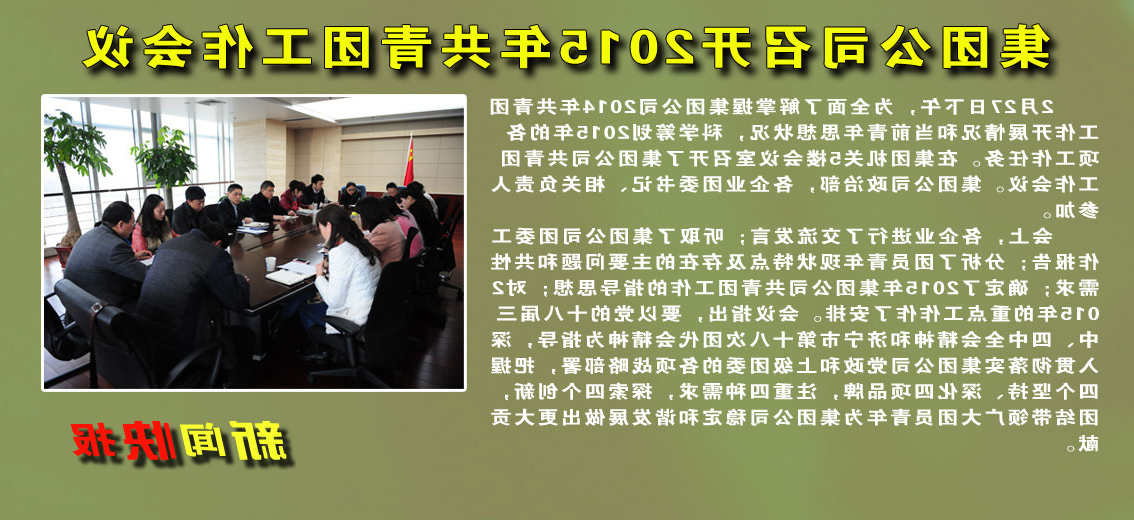 集团公司召开2015年共青团工作会议