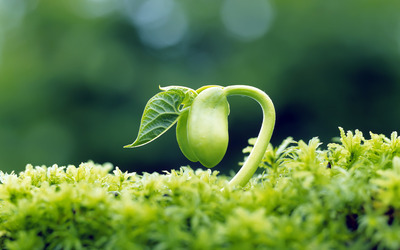 下井感悟（霄云煤矿&nbsp;苗自强）