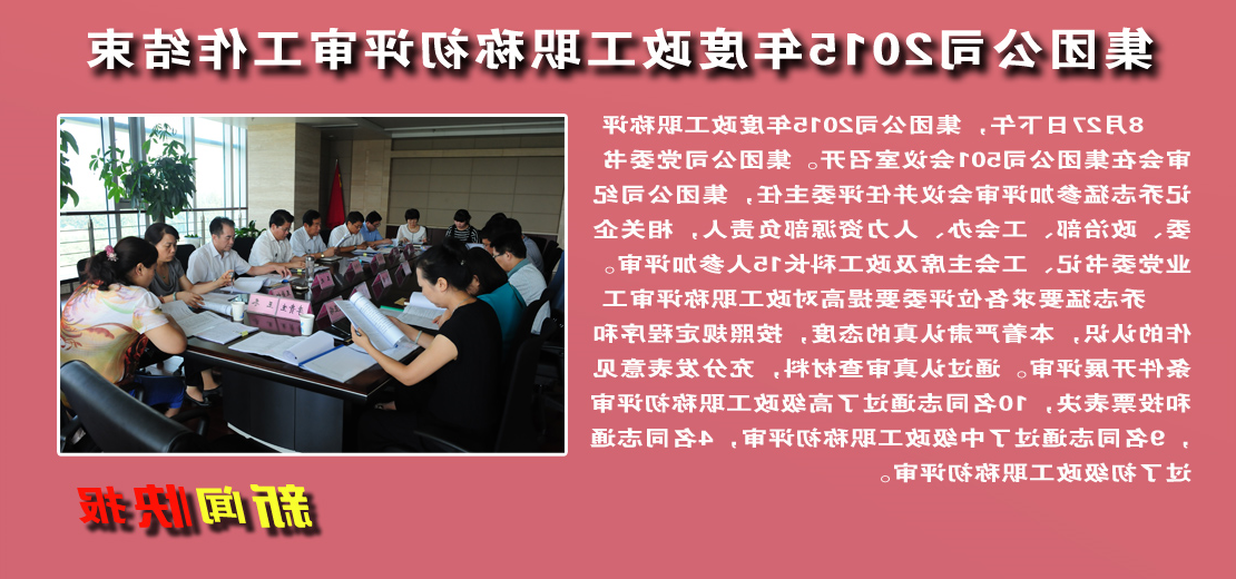 【图文】集团公司2015年度政工职称初评审工作结束