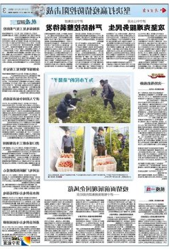 济宁日报：疫情面前展现国企风范 ——济宁能源发展集团抗疫纪实