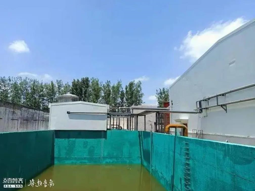 1625715252804189.jpg 1625715252804189.jpg