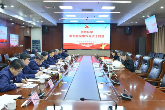 集团公司党委理论学习中心组专题学习贯彻十九届六中全会精神