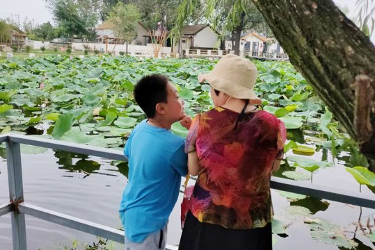 母亲矮过了我的肩