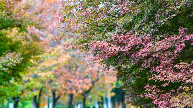 1667702031411769.png 微信截图_20221106103022.png