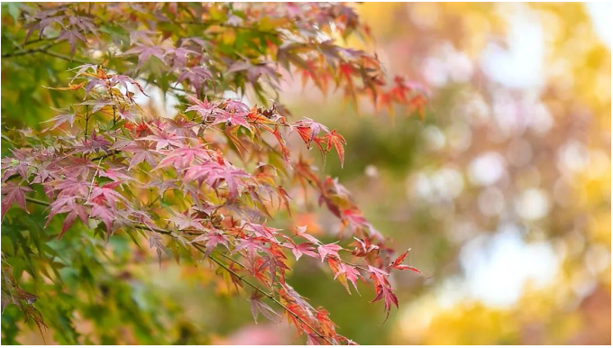 1667702088557629.png 微信截图_20221106103045.png