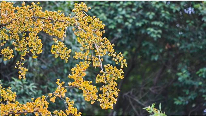 1667702117958630.png 微信截图_20221106103055.png