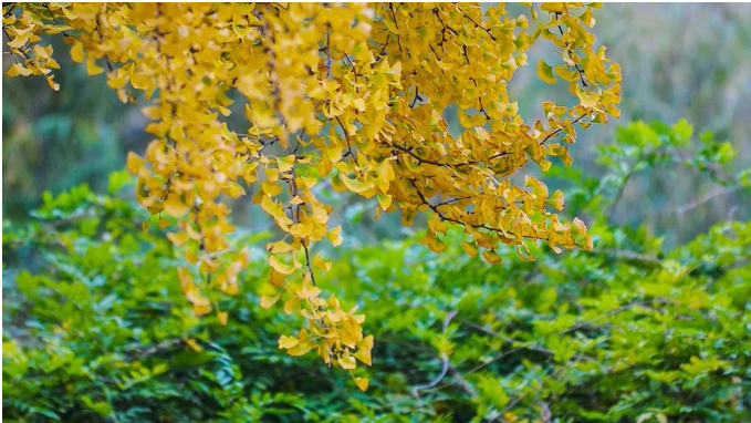 1667702130319744.png 微信截图_20221106103104.png