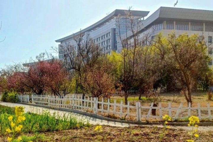 人间最美四月天丨安居煤矿：春意渐浓迷人眼