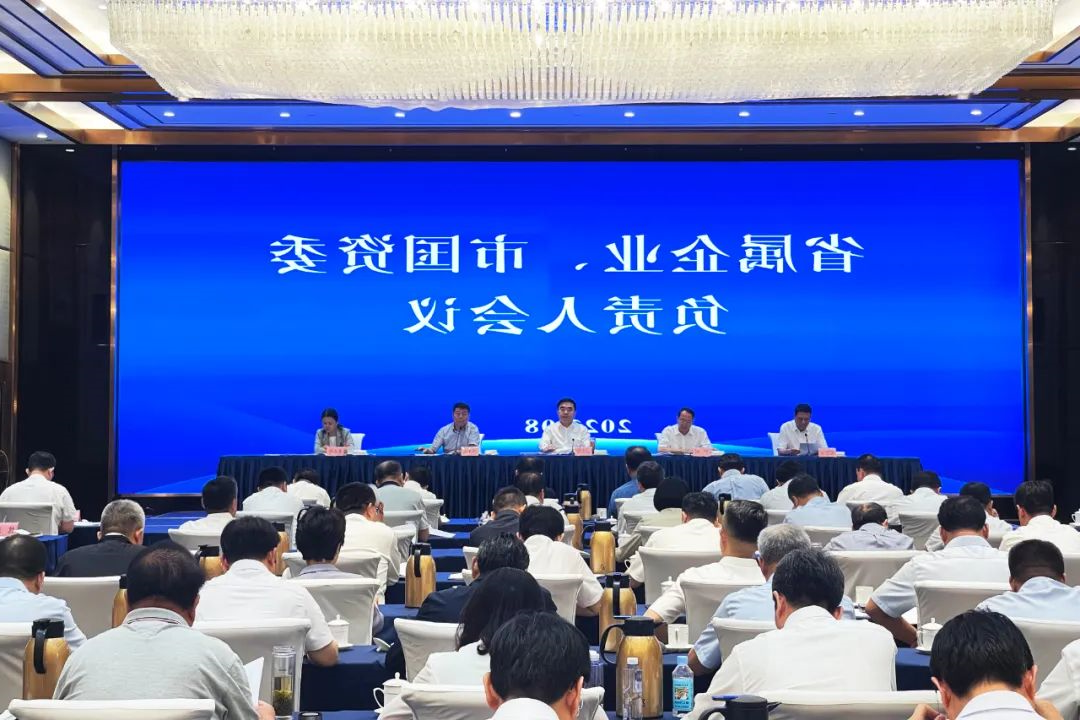 1691545585118944.jpg 640 (6).jpg