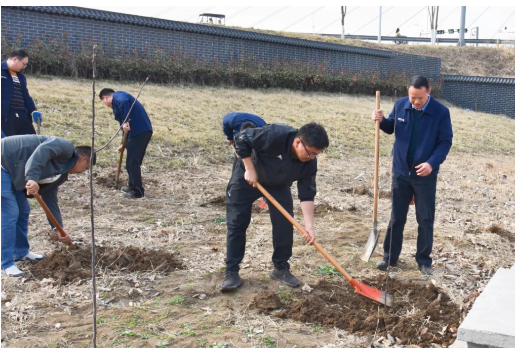 1712478336804694.png 1712478330159.png