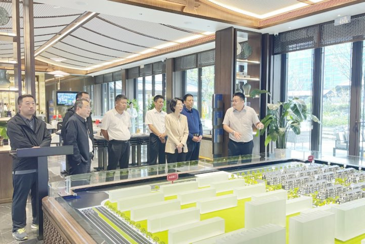市政府领导到能源蓝城·春风仁里项目调研指导工作