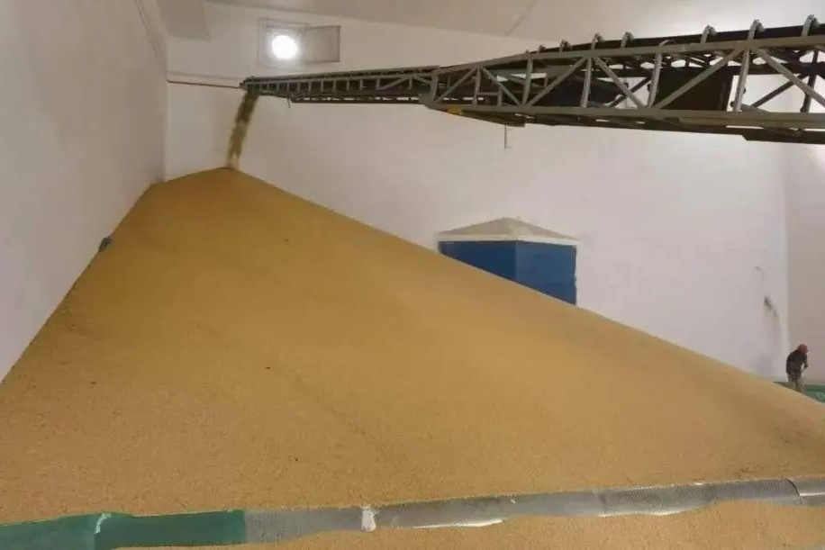 1731650612976262.jpg 0001.jpg