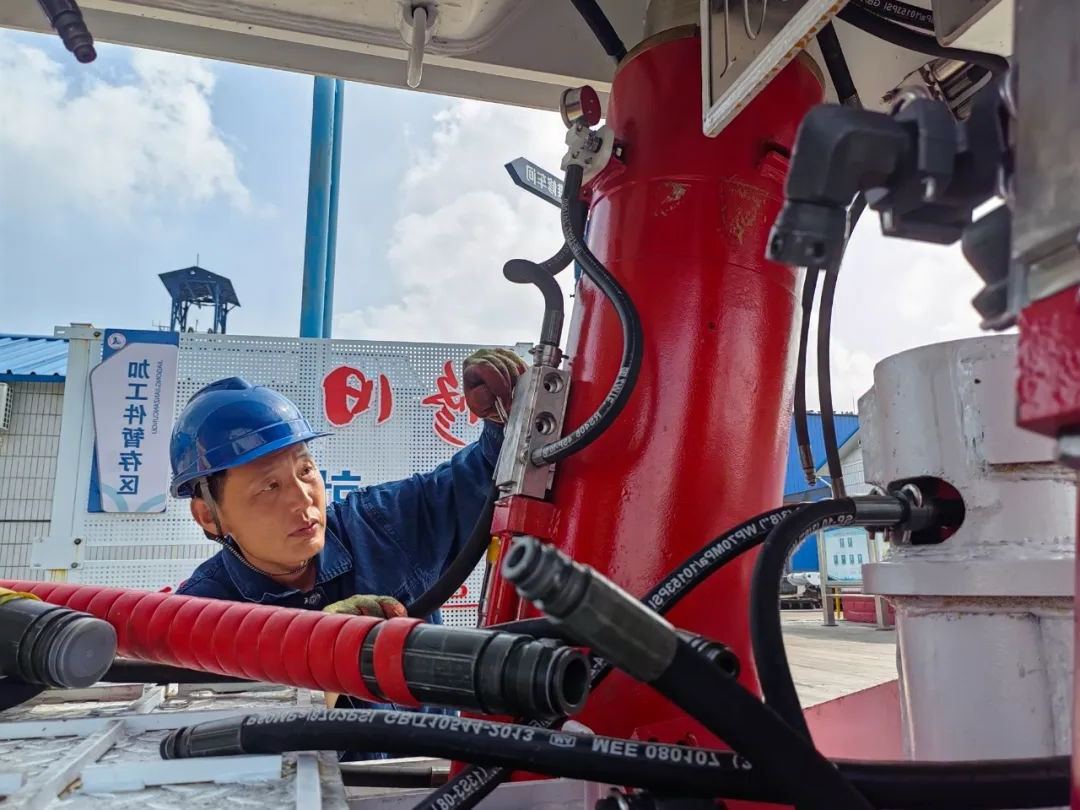 1732364565546589.jpg 0011.jpg