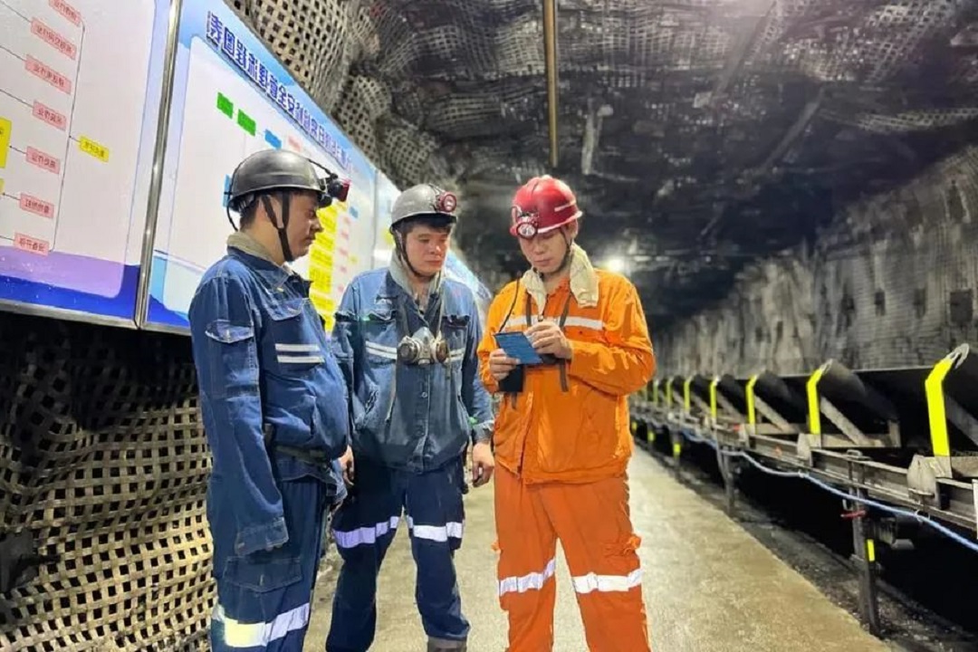 1734835398252510.jpg 0004.jpg