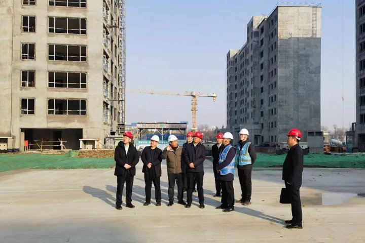 张广宇到圆中园置业调研指导工作